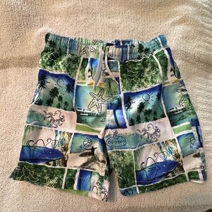 Lands' End Tropical Print Swim Trunks in Blue & Green